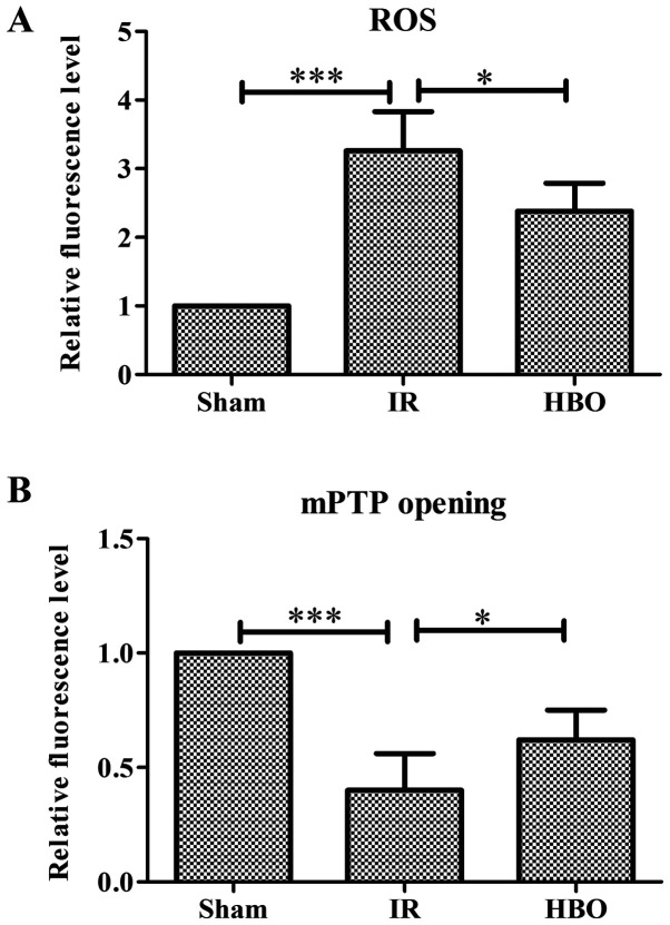 2-evaluation-of-cardioprotective-effects-of-hbot.png